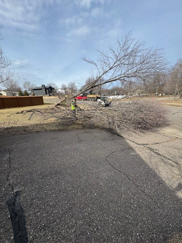 Gallery photos for Safe and Efficient Winter Tree Services with All Terrain Construction: Image #2