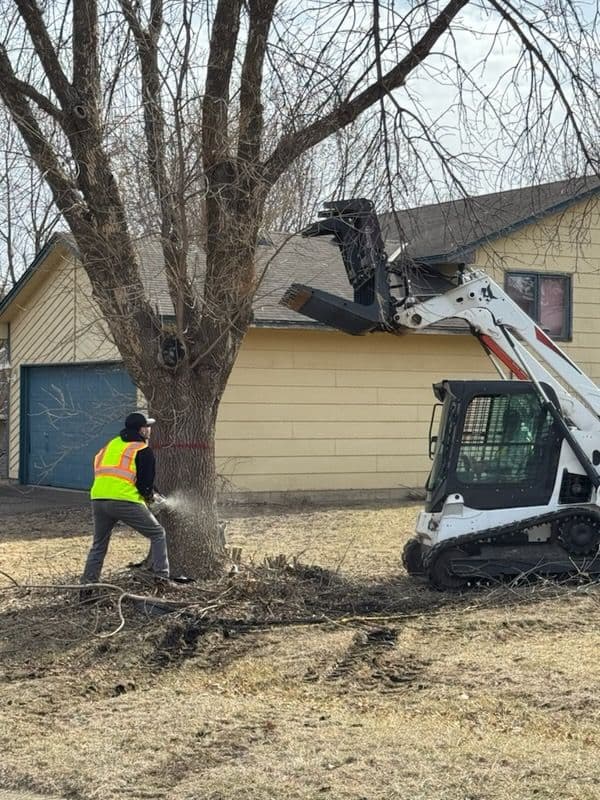 Gallery photos for Safe and Efficient Winter Tree Services with All Terrain Construction: Image #3